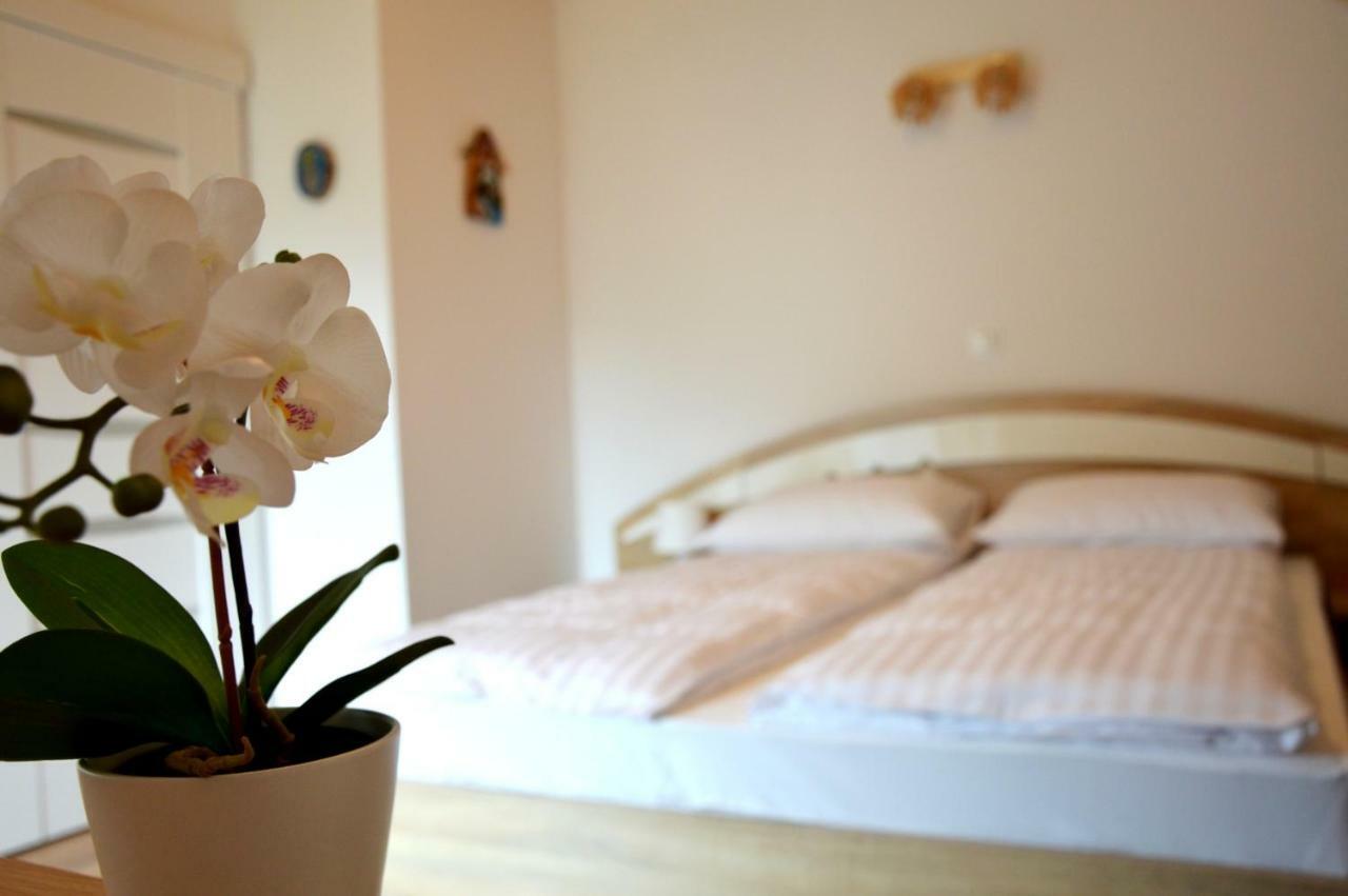 Apartament Przystań Park Dolny Szczawnica Zewnętrze zdjęcie